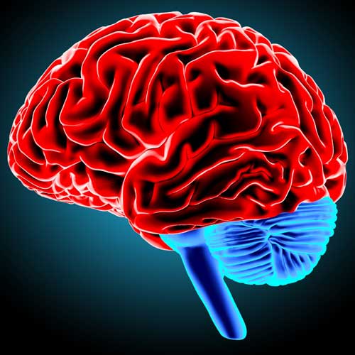 How Brain Damage Can Happen In An Accident And Why You Need To Talk ...